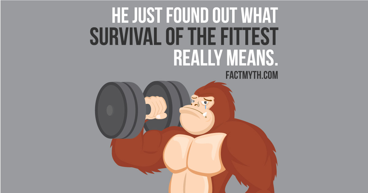 Survival of the fittest - Wikipedia