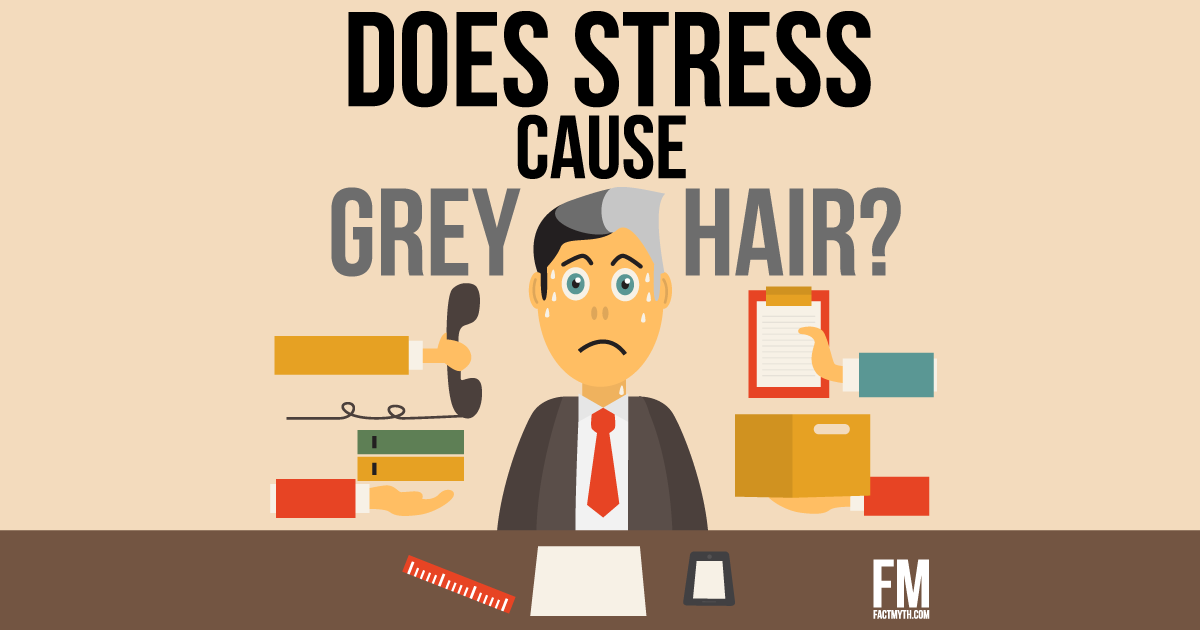 Stress Causes Hair to Turn Gray - Fact or Myth?