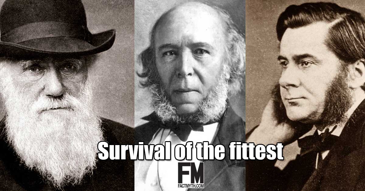 Survival of the Fittest  American Physiological Society