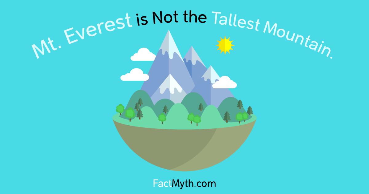 Is Mount Everest the Tallest mountain?