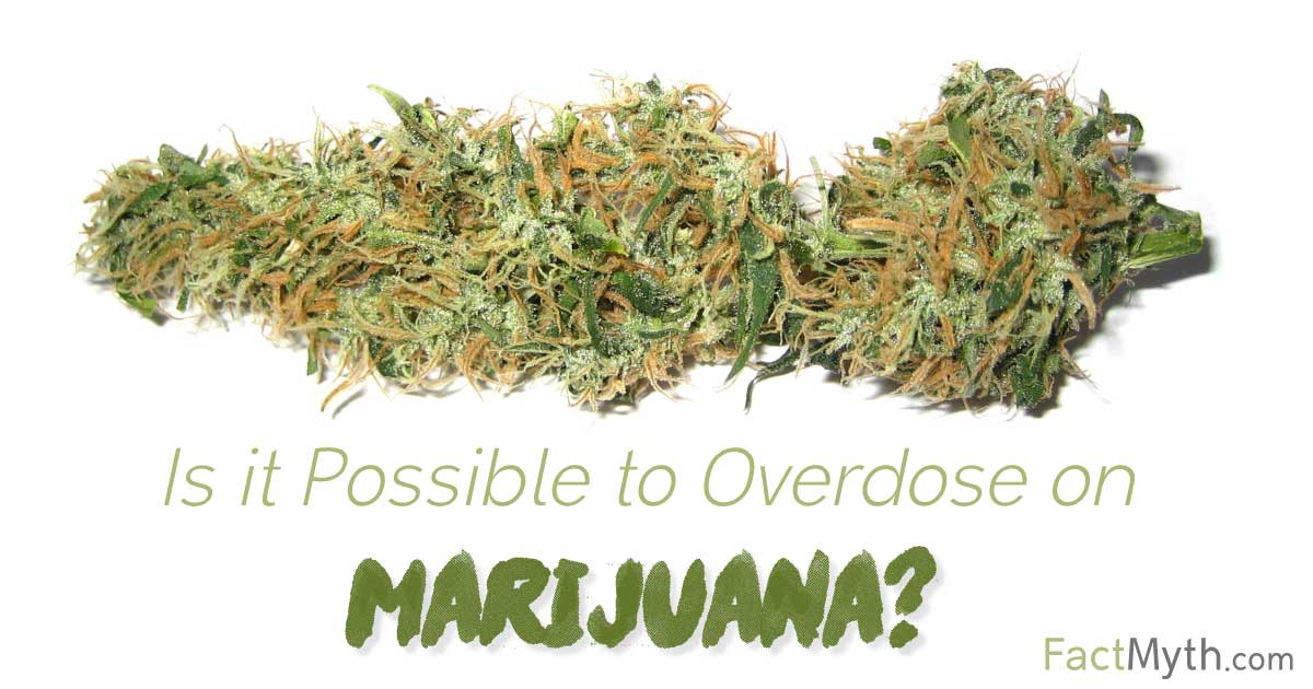 You Can't Die From a Marijuana Overdose