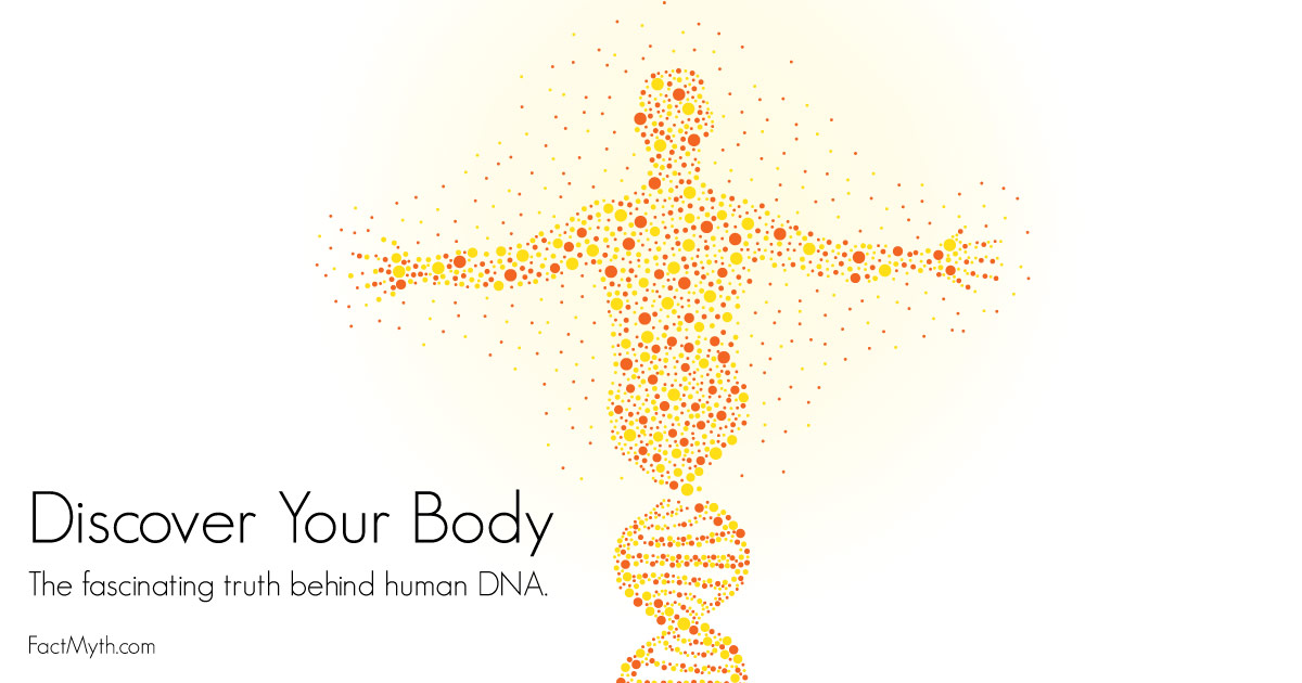All Cells in a Human Body Have the Same DNA