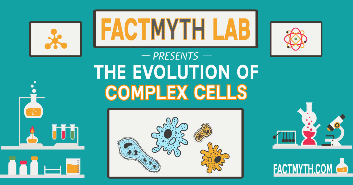 We know how complex cells evolved.
