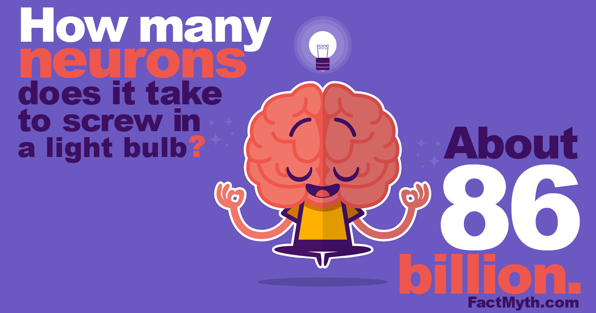 Humans have about 86 billion neurons
