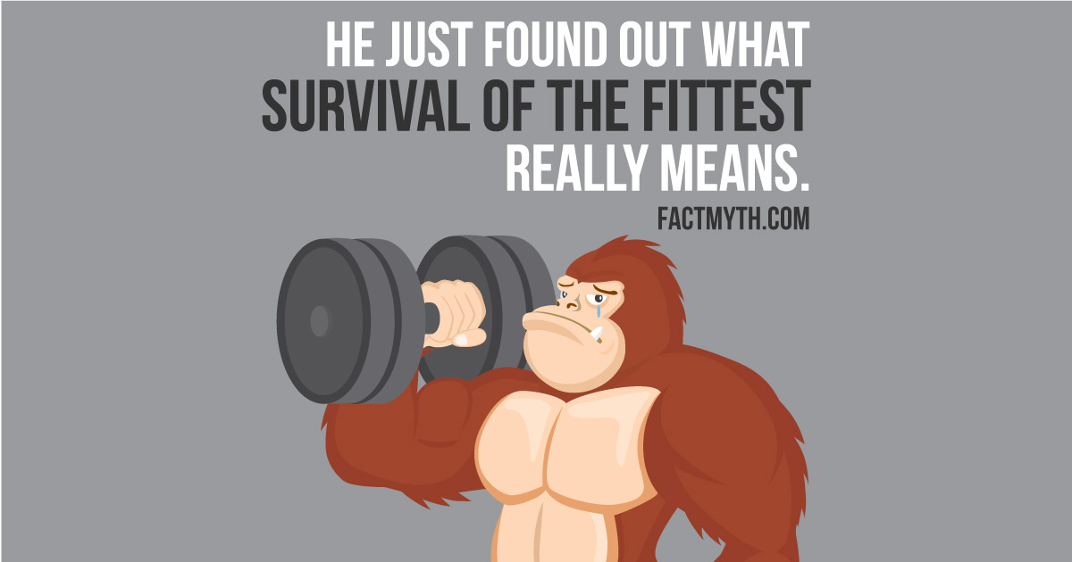 Does Survival of the Fittest Imply Only the Strong Survive?
