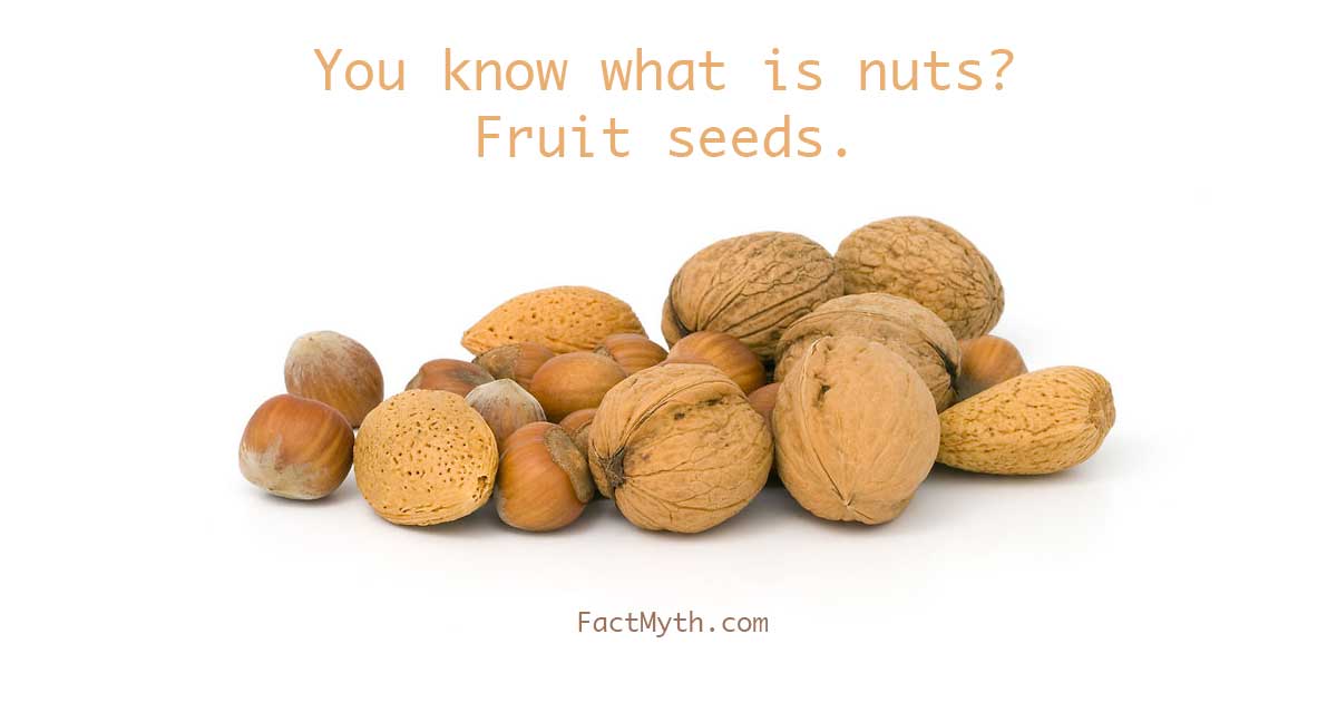 What are nuts?