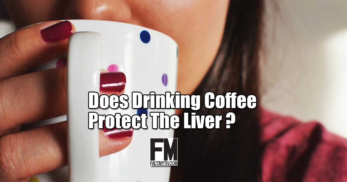 Does Drinking Coffee Protect the Liver?