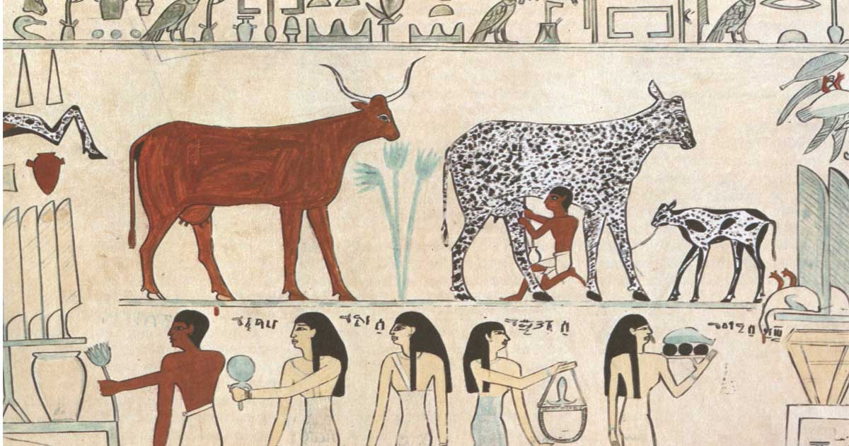 Early social system in egypt